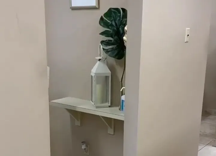 A quiet corner of the office with a lantern and a monstera leaf, the practice's emblem.